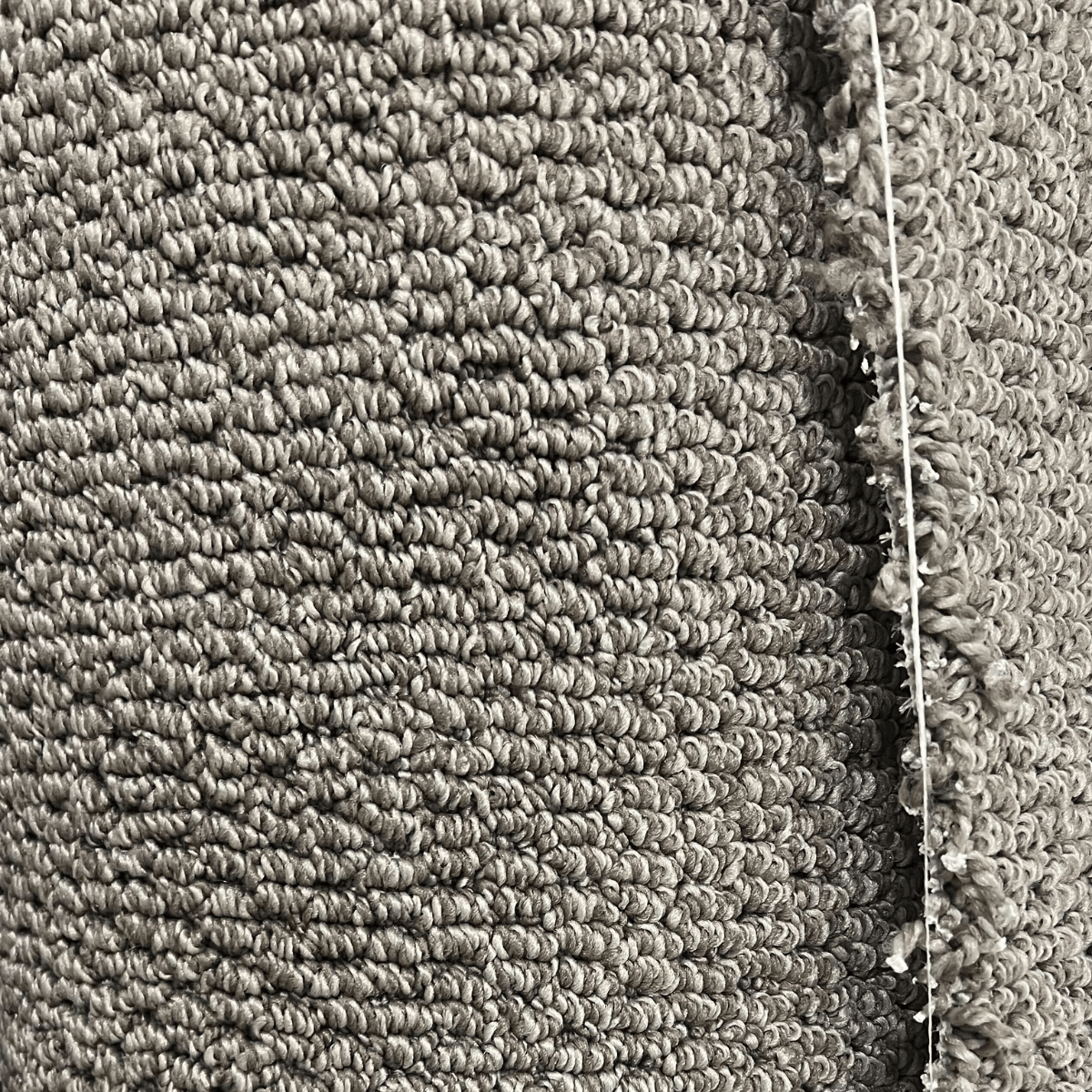 Carpet | Floor Boys