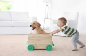 Toddler and dog playing on carpet