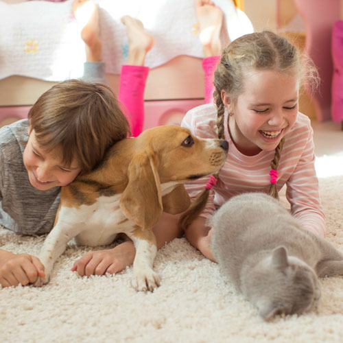 Kids laying with dog on carpet